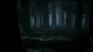 Dark Forest