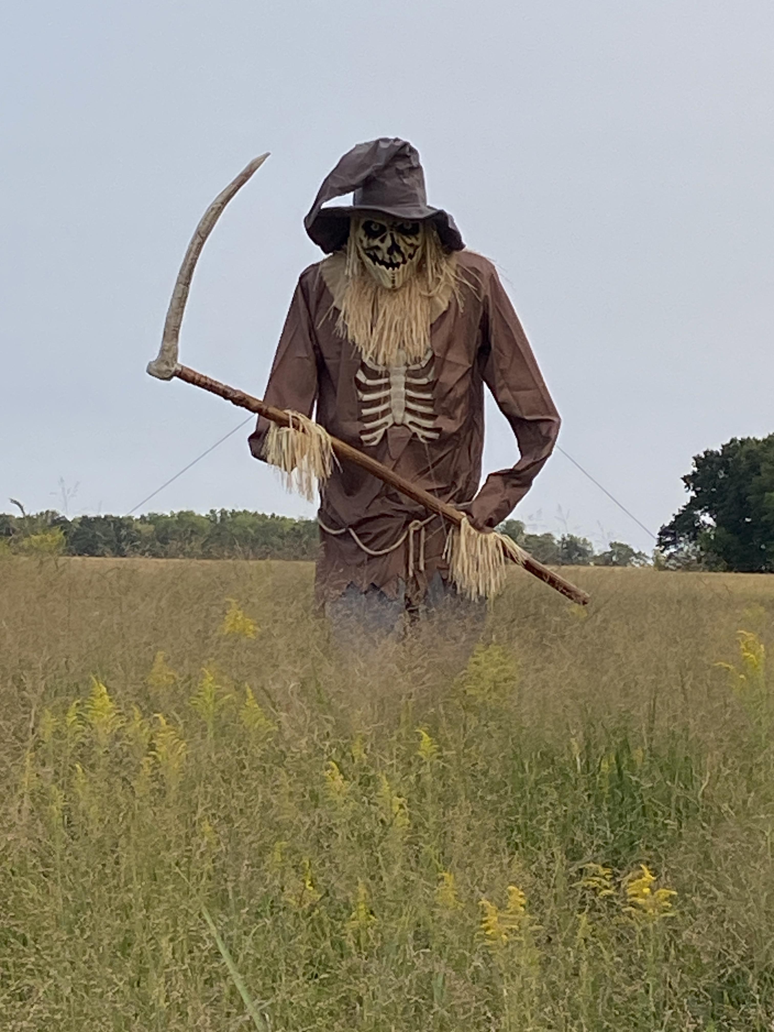 Scarecrow